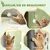 Zatte Arbre à chat plafond 225-255 cm, hamacs, panier, blanc Zatte Arbre à chat plafond 225-255 cm, hamacs, panier, blanc
