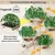 Zatte Arbre mur forme arbre pin, plateformes 155x210 cm Zatte Arbre mur forme arbre pin, plateformes 155x210 cm
