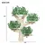 Zatte Arbre mur forme arbre pin, plateformes 155x210 cm Zatte Arbre mur forme arbre pin, plateformes 155x210 cm
