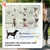 Zatte Chariot chien 2-en-1 pliant, 10 kg, moustiquaire, vert foncé Zatte Chariot chien 2-en-1 pliant, 10 kg, moustiquaire, vert foncé