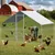 Zatte Freilaufgehege 3x2x2 m, Metall, PE-Plane, Vorhängeschloss Zatte Freilaufgehege 3x2x2 m, Metall, PE-Plane, Vorhängeschloss