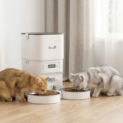 Zatte Futterautomat Katze Timer, Portionierung, 2 Edelstahlnäpfe Zatte Futterautomat Katze Timer, Portionierung, 2 Edelstahlnäpfe