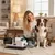 Zatte Tondeuse chien aspirante, 5 accessoires, silencieuse, blanc Zatte Tondeuse chien aspirante, 5 accessoires, silencieuse, blanc