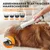 Zatte Tondeuse chien aspirante, 5 accessoires, silencieuse, blanc Zatte Tondeuse chien aspirante, 5 accessoires, silencieuse, blanc