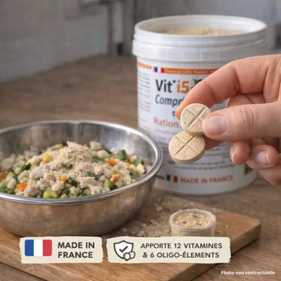Vit'I5 Orange Comprimés – Ration Ménagère Chien Chat Vit'I5 Orange Comprimés – Ration Ménagère Chien Chat