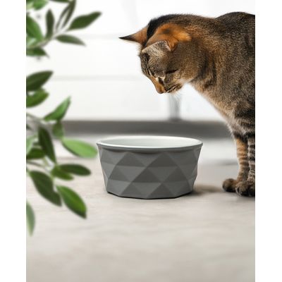 lionto Keramiknapf für Katzen rutschfest und pflegeleicht