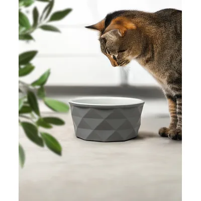 lionto Keramiknapf für Katzen rutschfest und pflegeleicht lionto Keramiknapf für Katzen rutschfest und pflegeleicht