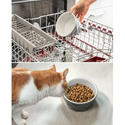 lionto Keramiknapf für Katzen rutschfest und pflegeleicht lionto Keramiknapf für Katzen rutschfest und pflegeleicht