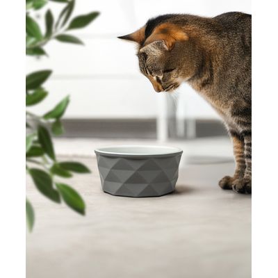 lionto Keramiknapf für Katzen rutschfest und pflegeleicht