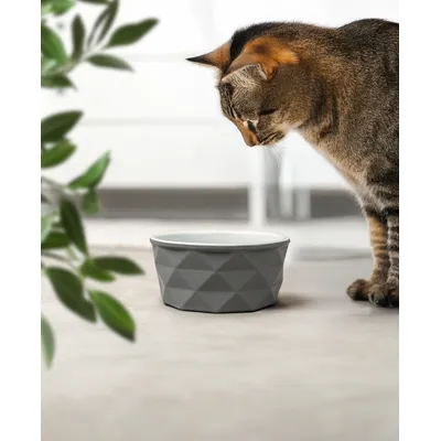 lionto Keramiknapf für Katzen rutschfest und pflegeleicht