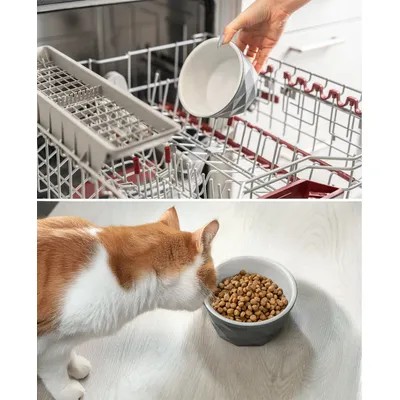 lionto Keramiknapf für Katzen rutschfest und pflegeleicht