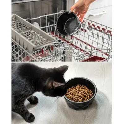 lionto Keramiknapf für Katzen rutschfest und pflegeleicht lionto Keramiknapf für Katzen rutschfest und pflegeleicht