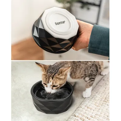 lionto Keramiknapf für Katzen rutschfest und pflegeleicht lionto Keramiknapf für Katzen rutschfest und pflegeleicht