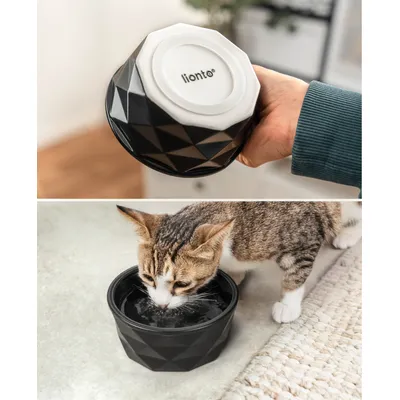 lionto Keramiknapf für Katzen rutschfest und pflegeleicht lionto Keramiknapf für Katzen rutschfest und pflegeleicht