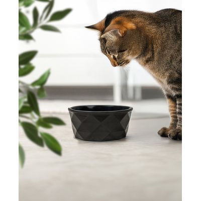 lionto Keramiknapf für Katzen rutschfest und pflegeleicht