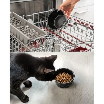 lionto gamelle en céramique pour chat antidérapante et facile à nettoyer