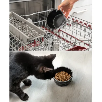 lionto Keramiknapf für Katzen rutschfest und pflegeleicht lionto Keramiknapf für Katzen rutschfest und pflegeleicht