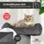 Cord Katzenbaum XL