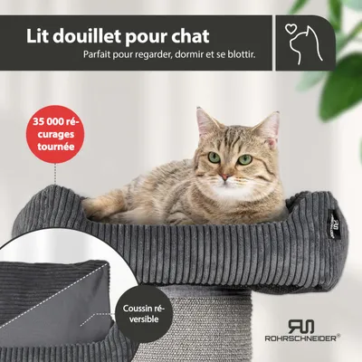 Cord Katzenbaum XL