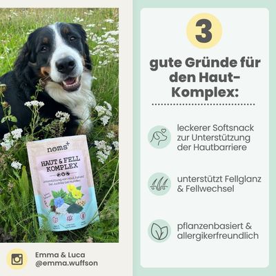 Haut & Fell Komplex für Hunde mit Probiotika, Biotin, Zink & Nachtkerzenöl
