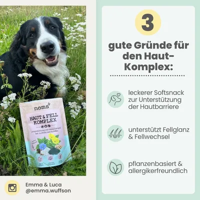 Haut & Fell Komplex für Hunde mit Probiotika, Biotin, Zink & Nachtkerzenöl
