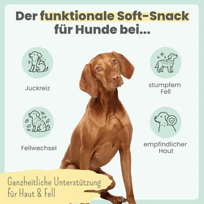 Haut & Fell Komplex für Hunde mit Probiotika, Biotin, Zink & Nachtkerzenöl