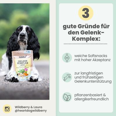 Gelenk-Komplex für Hunde mit Glucosamin, MSM, Kurkuma & Probiotika