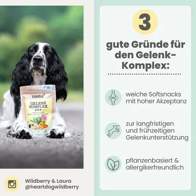 Gelenk-Komplex für Hunde mit Glucosamin, MSM, Kurkuma & Probiotika