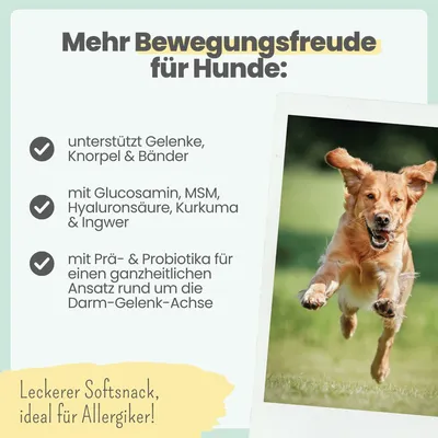 Gelenk-Komplex für Hunde mit Glucosamin, MSM, Kurkuma & Probiotika