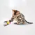 Lyra Pet - Souris de jeu - Hochet pour chat Lyra Pet - Souris de jeu - Hochet pour chat