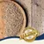 Lyra Pet® - Graines de tournesol - Bruch
