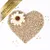 Lyra Pet® - Graines de tournesol - Bruch