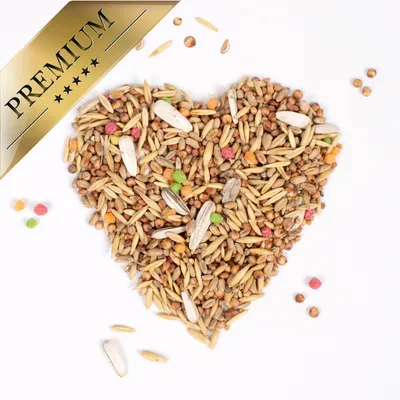 Lyra Pet - Streufutter - Nouvelle Récolte 10 kg Lyra Pet - Streufutter - Nouvelle Récolte 10 kg