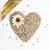 Lyra Pet - Graines de tournesol décortiquées 10 kg Lyra Pet - Graines de tournesol décortiquées 10 kg