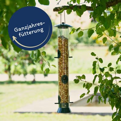 Erdnusskerne Splits - Alimentation oiseaux sauvages