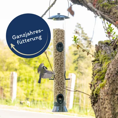 Lyra Pet - Nourriture pour oiseaux - Erdnusskerne SPLITS Lyra Pet - Nourriture pour oiseaux - Erdnusskerne SPLITS