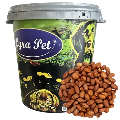 Lyra Pet - Nourriture pour oiseaux - Erdnusskerne mit Haut Lyra Pet - Nourriture pour oiseaux - Erdnusskerne mit Haut