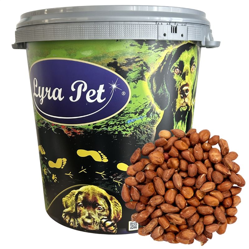 Lyra Pet - Nourriture pour oiseaux - Erdnusskerne mit Haut