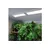 Lucky Reptile - Éclairage LED - Light Strip LED MINI Lucky Reptile - Éclairage LED - Light Strip LED MINI