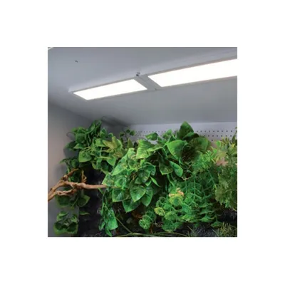 Lucky Reptile - Éclairage LED - Light Strip LED MINI Lucky Reptile - Éclairage LED - Light Strip LED MINI