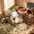 Flopsy - Boîte de jouets - Saveurs et textures rongeurs Flopsy - Boîte de jouets - Saveurs et textures rongeurs