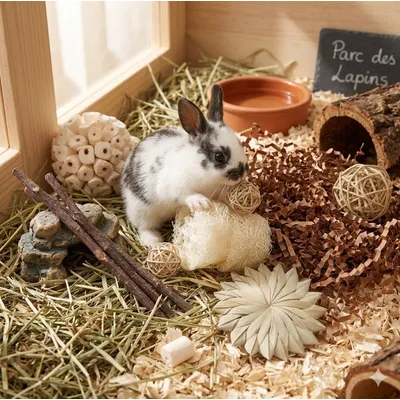 Flopsy - Boîte de jouets - Saveurs et textures rongeurs Flopsy - Boîte de jouets - Saveurs et textures rongeurs