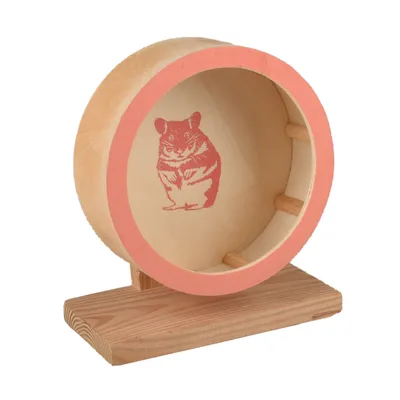 Danco - Roue d'exercice - Roue d'exercice pour rongeurs S Danco - Roue d'exercice - Roue d'exercice pour rongeurs S