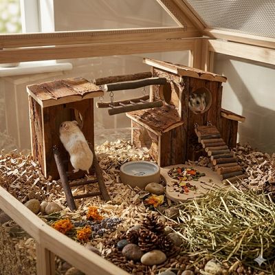 EDEN - Aire de jeu - Adventure rongeurs