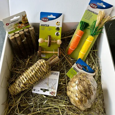 Box Jouets Lapins - Divertissement naturel et bien-être Box Jouets Lapins - Divertissement naturel et bien-être