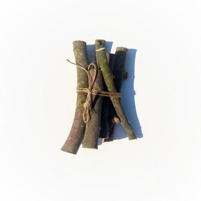 L'EDEN DES PATTOUNES - Fagot de bois de noisetier