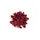 Framboise - 100g
