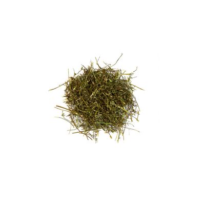Cerfeuil - Herbe séchée pour lapins et rongeurs