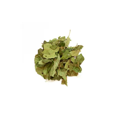 Nacture - Friandise - Feuilles de pommier Nacture - Friandise - Feuilles de pommier