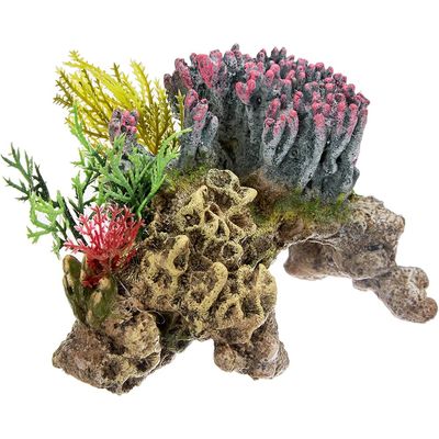 Nobby - Décoration aquarium - Corail avec plante